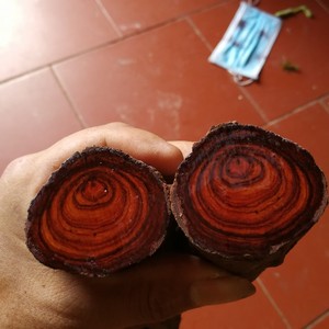 包邮越南紫檀柳原木对眼瘤疤蜘蛛纹料可自己加工送朋友dly