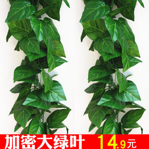 仿真葡萄绿叶装饰假花藤条塑料室内假树叶绿色大叶子绿萝植物藤蔓