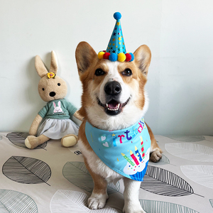 狗狗生日帽子三角巾套装柯基法斗边牧周岁纪念口水巾宠物中小型犬