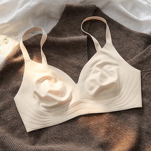 dk无钢圈文胸夏季超薄款无痕乳胶果冻大胸显小收副乳防下垂内衣女