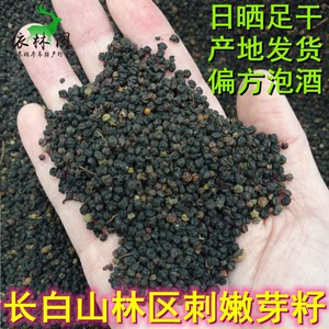 东北长白山野生刺老芽籽 刺嫩芽籽刺龙芽籽干籽250克包邮