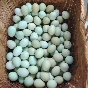 云南特产临沧大山里的放养黑野鸡农村跑步土鸡蛋绿壳黄壳鸡蛋30个