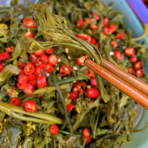 云南临沧酸菜酸菜