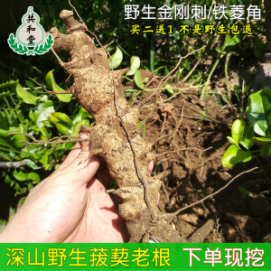 深山现挖新鲜菝葜野生铁菱角中药材金刚刺根泡酒山菱角铁刺苓500g