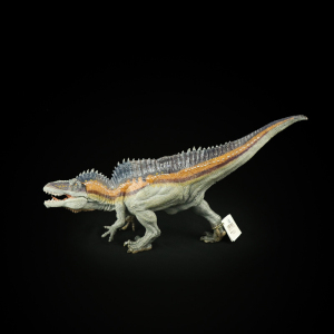 80lishang0803淘宝papo阿克罗肯龙 仿真恐龙动物模型玩具 高棘龙