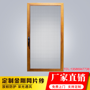 宁波新款高档推拉窗铝合金纱窗金刚网片纱门窗防蚊防鼠防盗纱窗