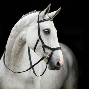 【马水勒】马水勒品牌,价格 - 阿里巴巴