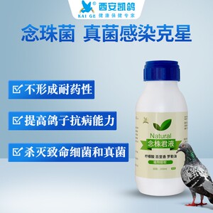 凯鸽念珠菌液鸽药口黄白色白点赛鸽常见病凯哥鹦鹉鸽用鸽子药大全