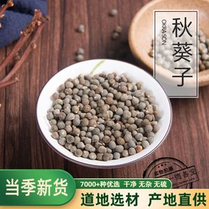 中药材 秋葵种子  黄秋葵种子 秋葵籽新货黄蜀秋葵子500克包邮