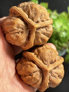 一瓣清心-39精品蛤蟆头三棱正奔天然收藏级稀珍三棱文玩核桃0909