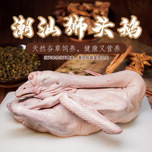 屠宰厂直销汕头澄海卤鹅 冰鲜狮头鹅 生鹅肉卤鹅烧鹅 酒店 金鹅城