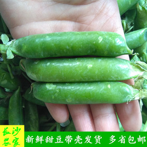 甜豌豆带壳新鲜