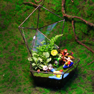 微观生态瓶盆景