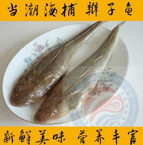 狗腿鱼新鲜