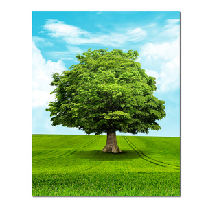 一棵大树挂画绿色树木草地贴墙画蓝天白云草地风景画自粘画海报
