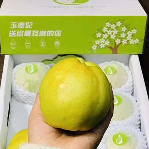 山西隰县玉贵妃玉露香梨礼盒9-12枚大果脆甜多汁新鲜水果顺丰包邮
