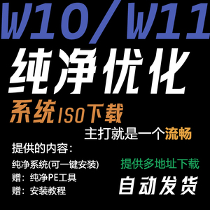 纯净优化系统下载win10/11安装包64位专业版ISO镜像电脑远程重装