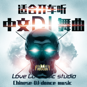 车载dj碟片新歌