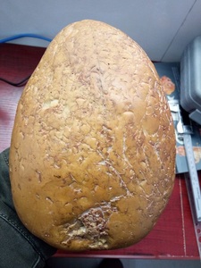 长江水冲黄龙玉原石摆件