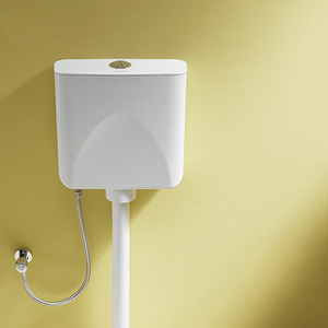 箭牌卫浴蹲便器水箱塑料双档挂式蹲坑水箱aex102/as116/as117