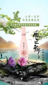 风之飘洗发水