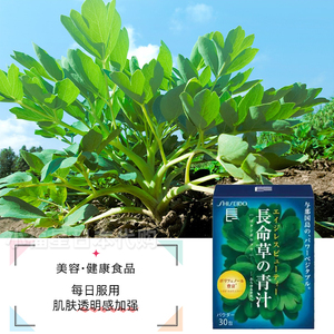 日本原装东京实拍 资生堂人气长命草青汁精华冲剂30袋 纤维补充