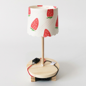 diy台灯科技制作小发明材料科学实验玩具通用技术废物利用作业