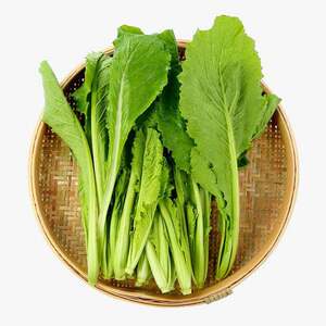 云南农家自种新鲜蔬菜小青菜小苦菜苦青菜绿菜500g