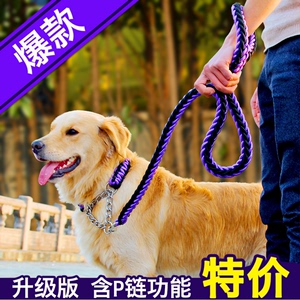 中型大型犬宠物用品狗狗牵引绳 拉布拉多金毛边牧 狗绳子项圈套装