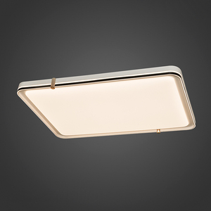 安居宝灯具现代简约