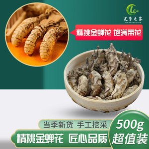 新货独角金蝉花中药材500g野生正品公蝉花雄蝉花个大饱满可磨细粉