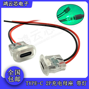 TYPE-C 2P注胶 直压式母座台灯椭圆充电口DIY电动车汽车usb连接器