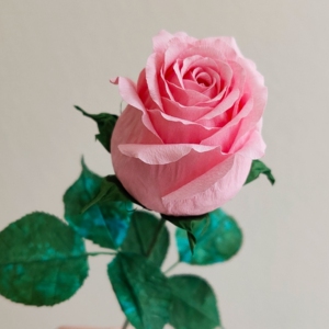 【纸玫瑰花材料】纸玫瑰花材料品牌,价格 - 阿里巴巴