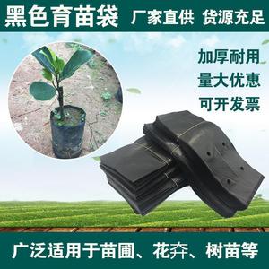 营养钵黑色塑料育苗袋加厚营养袋果树苗蔬菜专用一次性种植容器