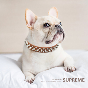 法斗项圈铆钉个性