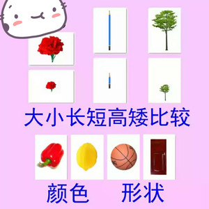 大小高矮长短比较卡 排序 颜色 形状 早教认知卡 自闭发育迟缓