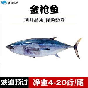 大目金枪鱼刺身