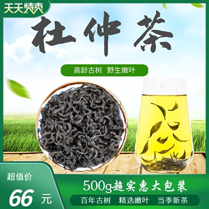 湖南杜仲茶叶张家界特产正品野生特级嫩叶500g非同仁堂养生月子茶