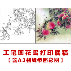 df146高清工笔画寿桃白描底稿国画花鸟小品临摹素材勾线打印稿