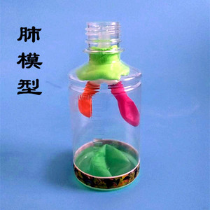 90教学仪器王淘宝j33225膈肌运动模拟器隔肌肺工作