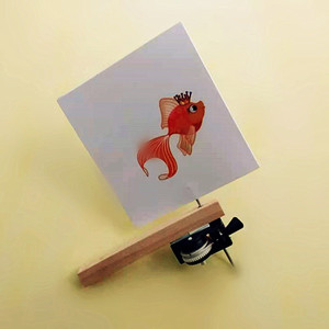 科技小制作手拉笼中鸟缸中鱼科学实验diy视觉暂留玩具幼儿园礼物