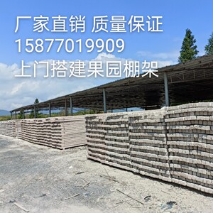 葡萄架水泥柱百香果水泥桩火龙果水泥蔬菜水果基地大棚围栏水泥桩