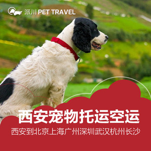 西安宠物狗狗猫猫宠物托运空运到北京上海广州深圳武汉杭州长沙