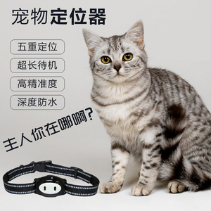 猫咪定位器迷你