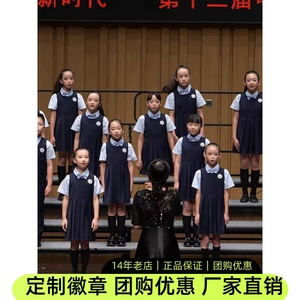 六一儿童合唱服装演出服男女童礼服中小学生表演朗诵纱裙大合唱团