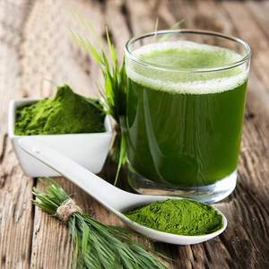 5斤批量 青汁 大麦若叶青汁 青汁粉农场青汁非蚂蚁代餐粉