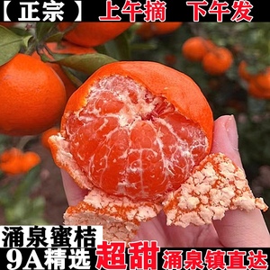 浙江临海涌泉蜜桔新鲜橘子10斤早熟高山桔子当季整箱水果现摘黄岩
