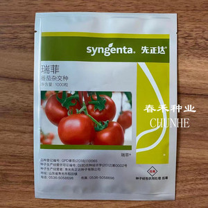 瑞菲番茄种子先正达原包装正品大红西红柿种籽露天大棚耐裂抗病毒