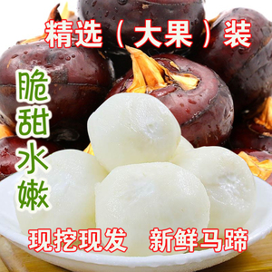 马蹄荸荠贵州