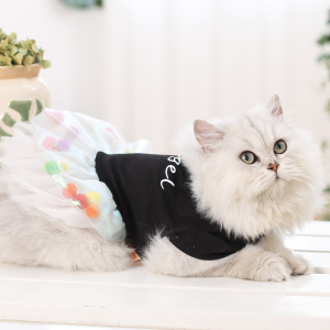 猫的衣服猫咪秋季薄款公主裙可爱英短猫猫衣服小型宠物秋天猫衣服